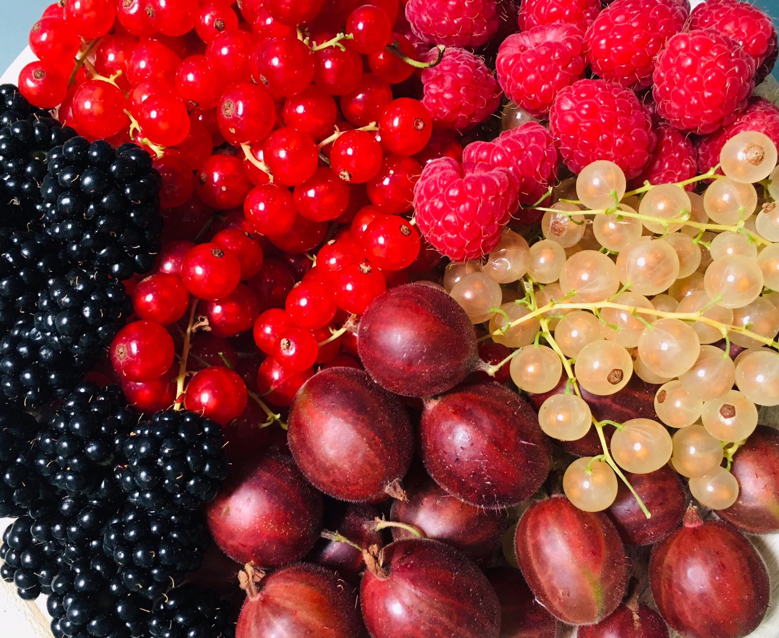 Beeren Früchte Feldbrach