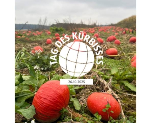 Herbstgemüse, Gemüsehandel, Foodservice